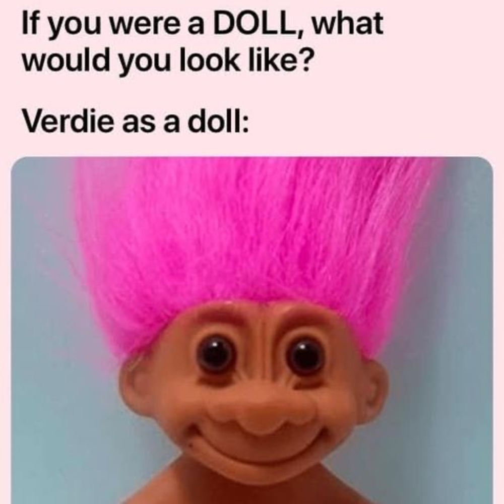 Meet your Posher, Verdie